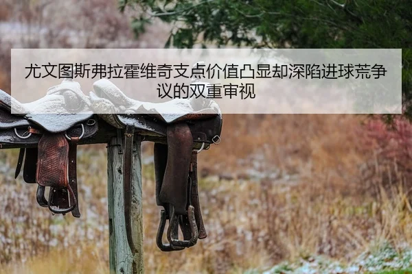 尤文图斯弗拉霍维奇支点价值凸显却深陷进球荒争议的双重审视