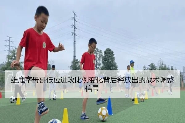 雄鹿字母哥低位进攻比例变化背后释放出的战术调整信号