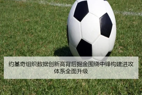 约基奇组织数据创新高背后掘金围绕中锋构建进攻体系全面升级